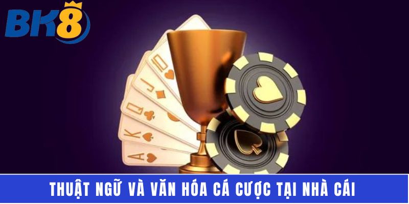 Thuật ngữ và văn hóa cá cược tại nhà cái